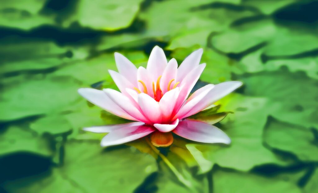 Monday Mantras from an Integrated Marketer’s Perspective