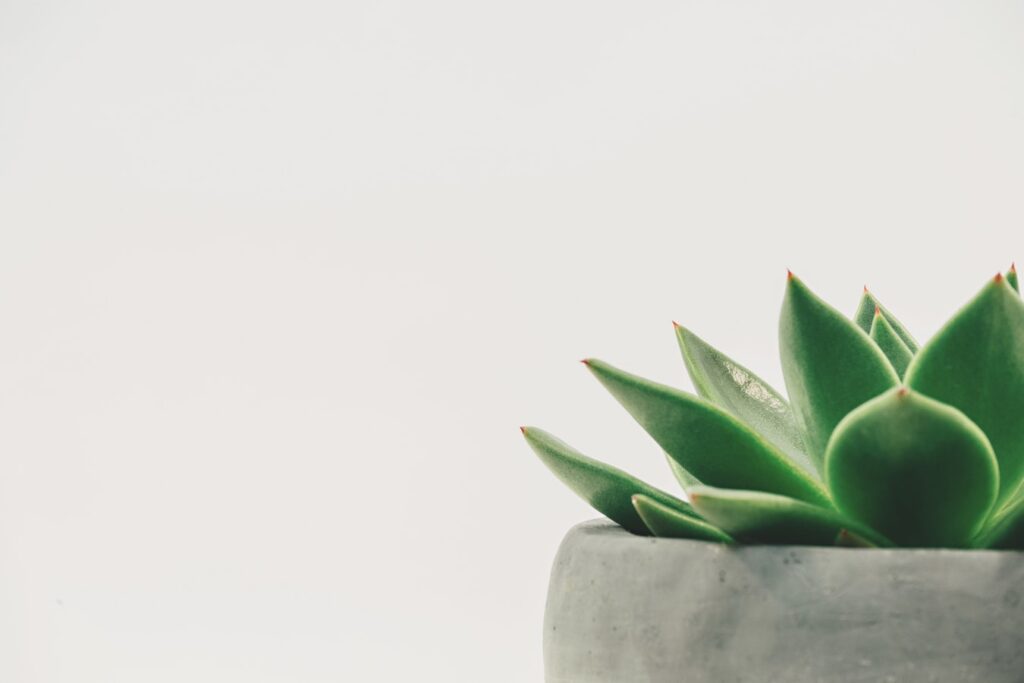 Combatting PR Stress The Lotus Way