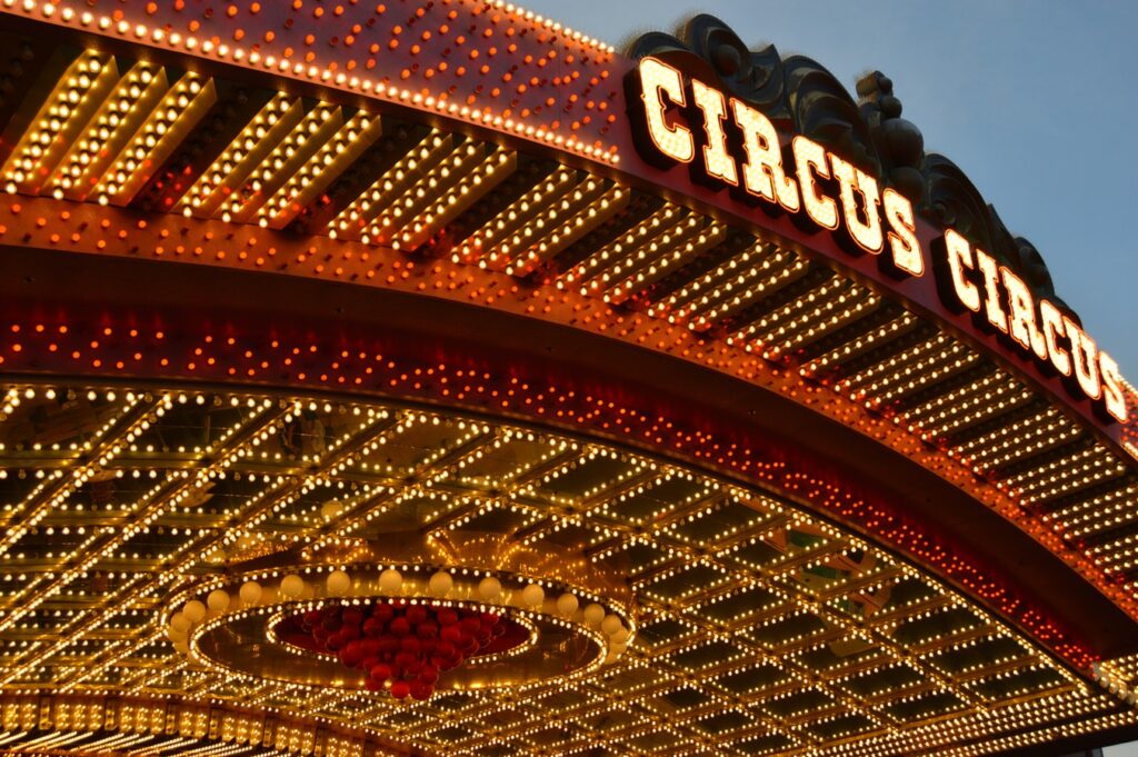 Working in Integrated Marketing… My Childhood Dream of Joining the Circus Came True