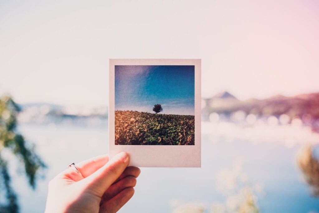 Finding The Perfect Photo for Your Blog Post