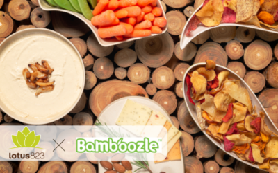 Case Study Spotlight: Bamboozle