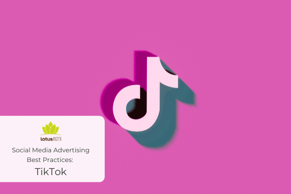 Social Media Advertising Best Practices: TikTok