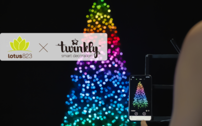 Case Study Spotlight: Twinkly