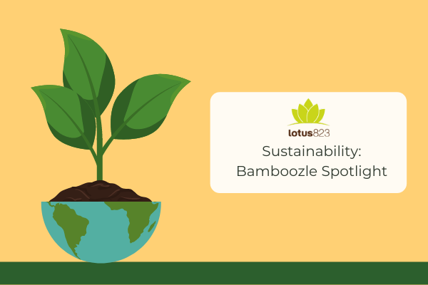 Sustainability: Bamboozle Spotlight