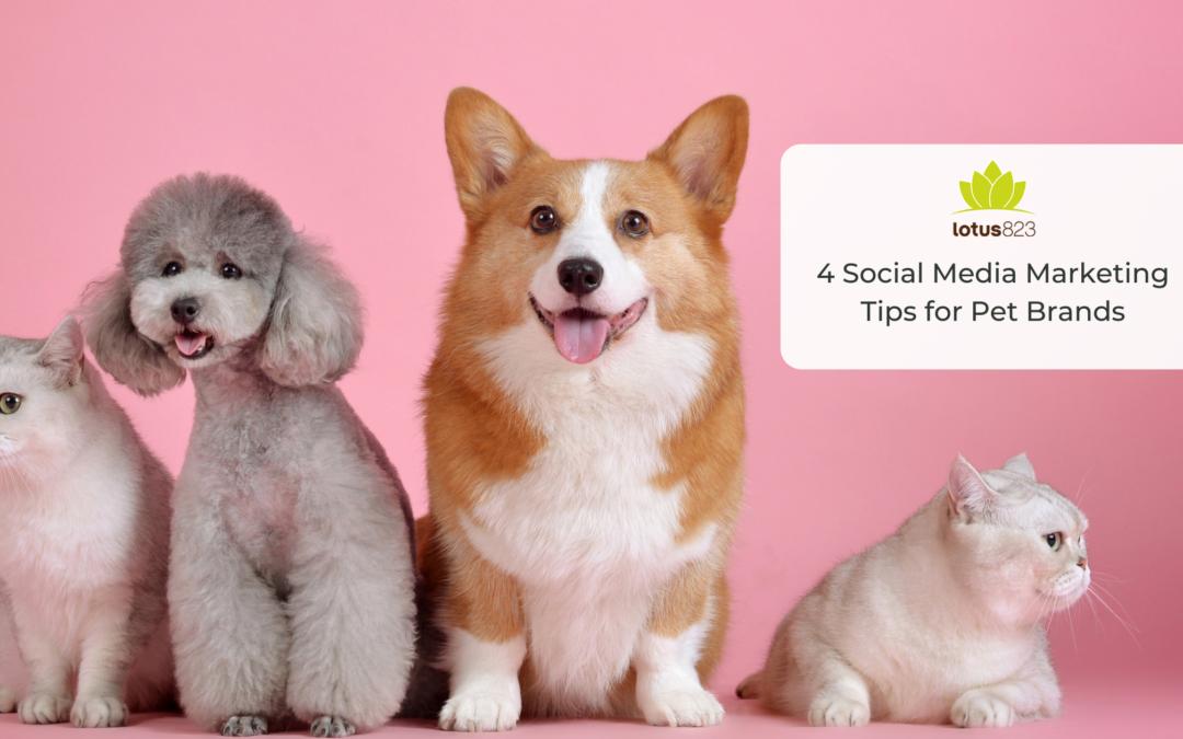 4 Social Media Marketing Tips for Pet Brands